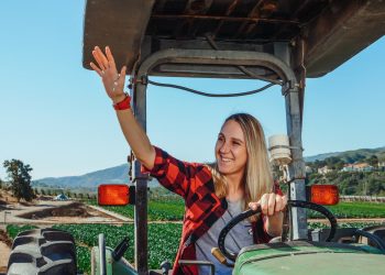 Segurança e saúde no trabalho agrícola