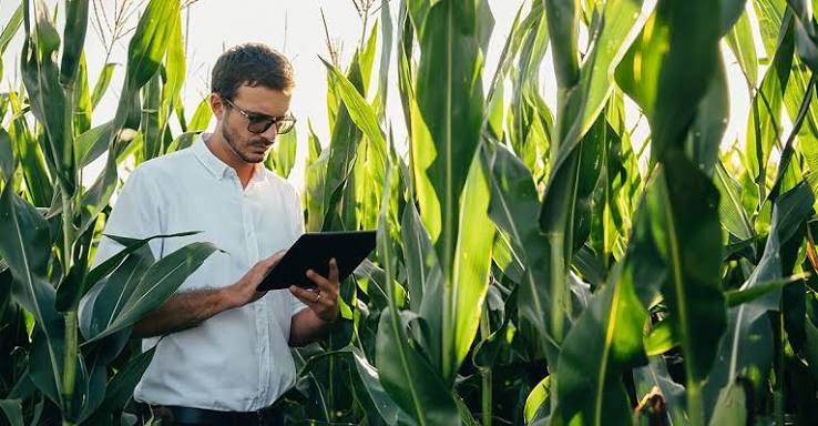 Formação Prática Agrícola